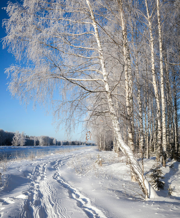 зимние пейзажи фото