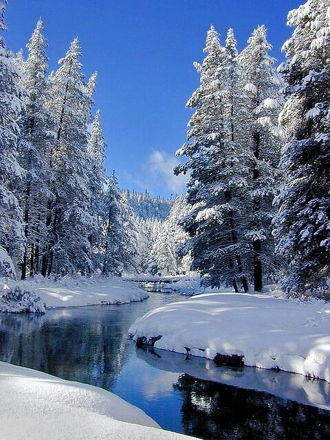 зимние пейзажи фото высокого разрешения фото