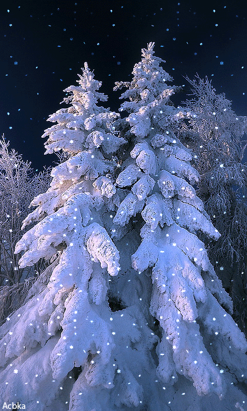 зимний лес анимация фото