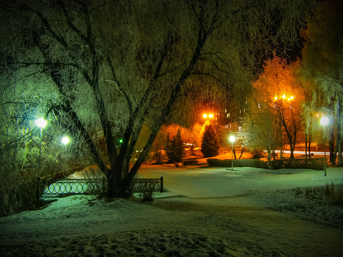зимний парк с фонарями фото