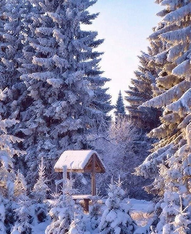 зимний пейзаж фото