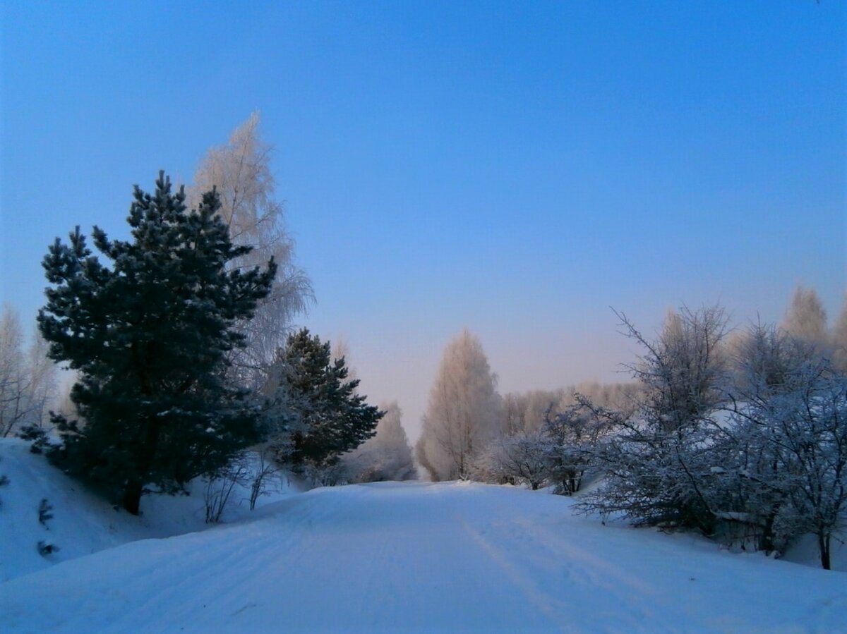 зимний пейзаж фото