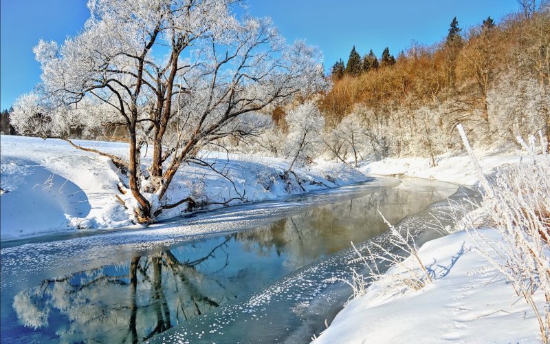зимний пейзаж март фото