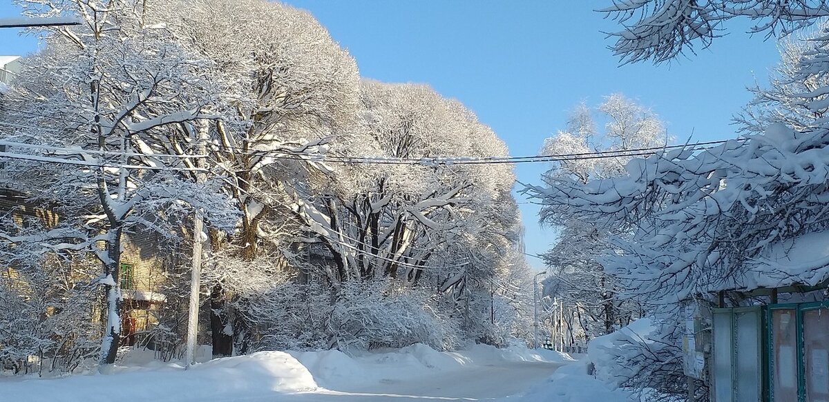 зимний пейзаж март фото