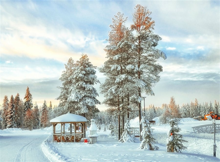 зимний пейзаж в лесу фото