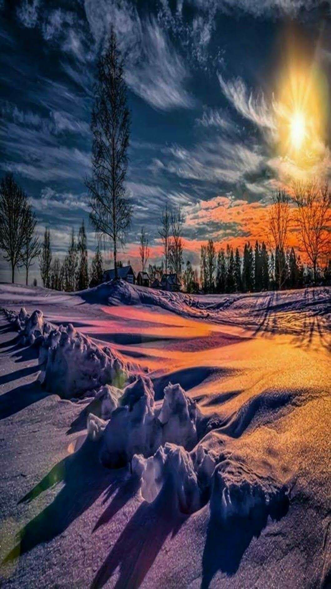 зимний закат вертикальные фото