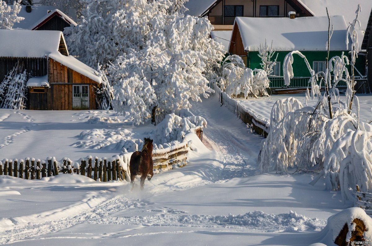 зимняя деревня фото