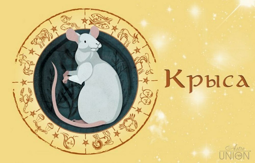 знак зодиака крыса фото